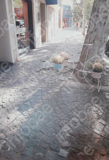 Acera de adoquines, bicicleta decorativa blanca con dos macetas con flores, tronco de árbol, fachadas de edificios, calle, personas caminando, sombras