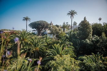 Parque del Drago, en Tenerife