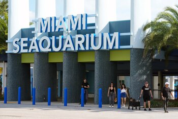 Miami-Dade presentó ante reguladores de Florida un plan para construir una marina gigante en el antiguo Seaquarium de Virginia Key (AP Foto)