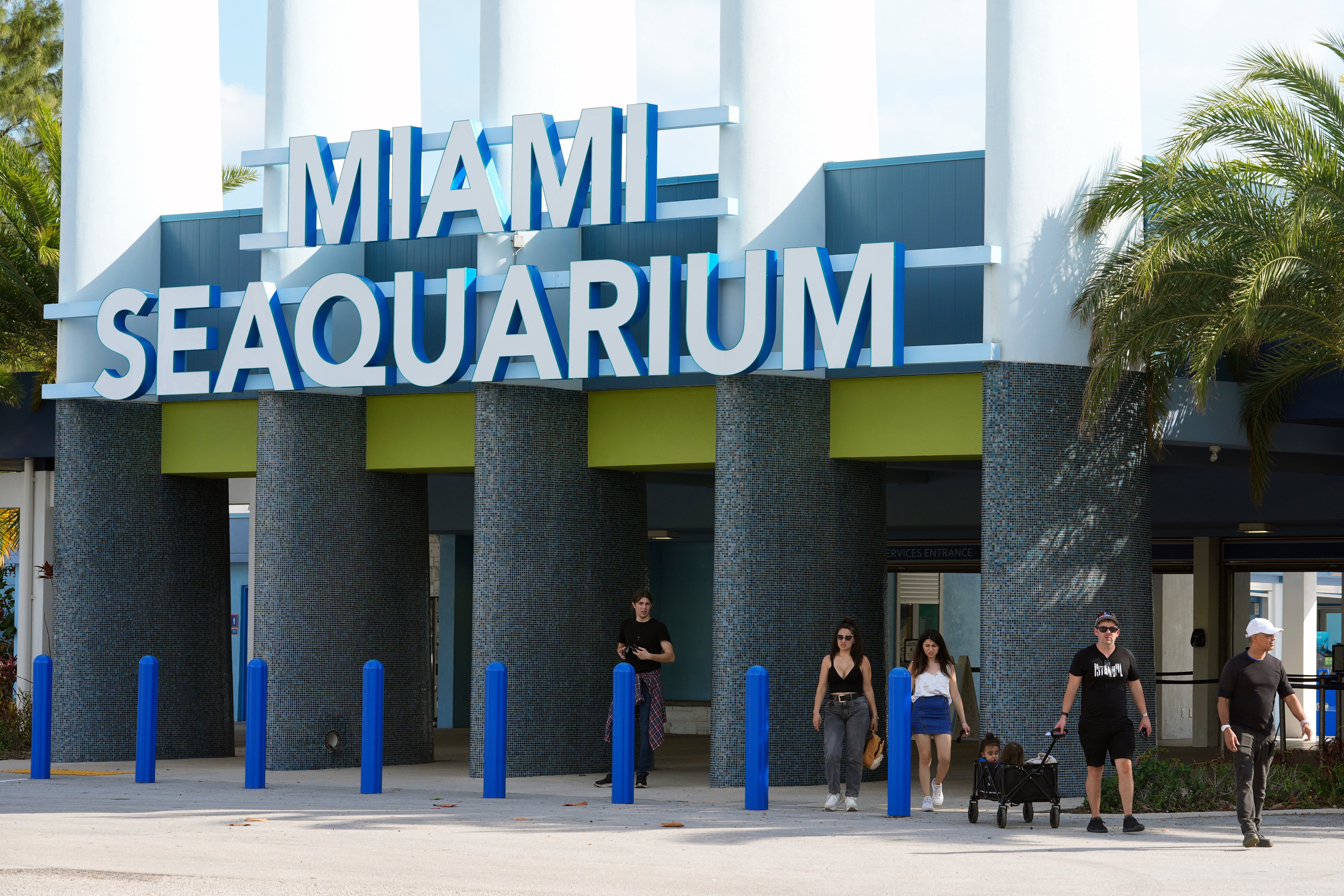Miami-Dade presentó ante reguladores de Florida un plan para construir una marina gigante en el antiguo Seaquarium de Virginia Key (AP Foto)