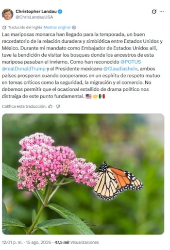 Christopher Landau usa a la mariposa monarca para ‘aliviar tensión’. | X Christopher Landau