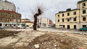 Zadar