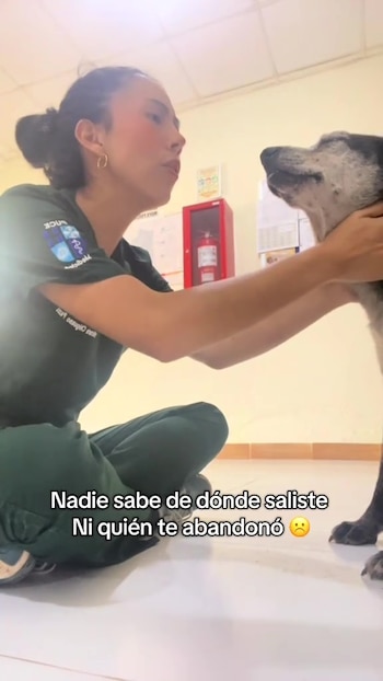 Nancy Lucía es una perrita que vagaba por las calles de Sucumbíos, Ecuador, desamparada y en avanzada edad. Su pelaje estaba descuidado y su salud generaba preocupación, pero un día todo cambió para ella al aparecer en el Puesto rural de Salud Luz y Vida.