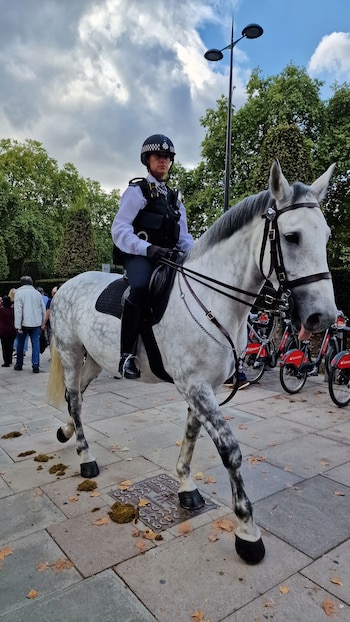 El operativo policial para contener