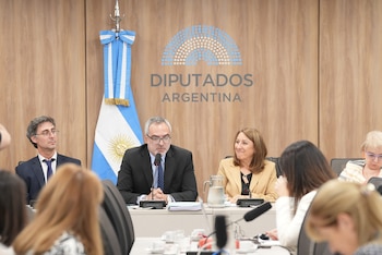 el juez Ernesto Kreplak expuso