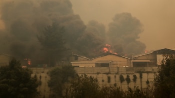 El infierno que vive una