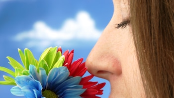 El poder de la afirmación