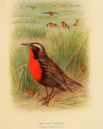 Hudson tuvo una conocida polémica