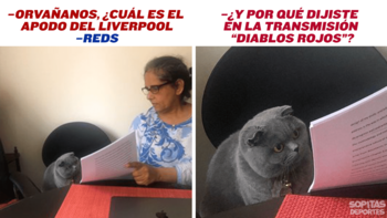 Raúl Orvañanos le dijo al