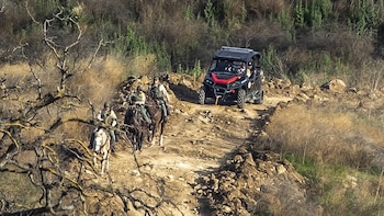 A caballo y en vehículos,