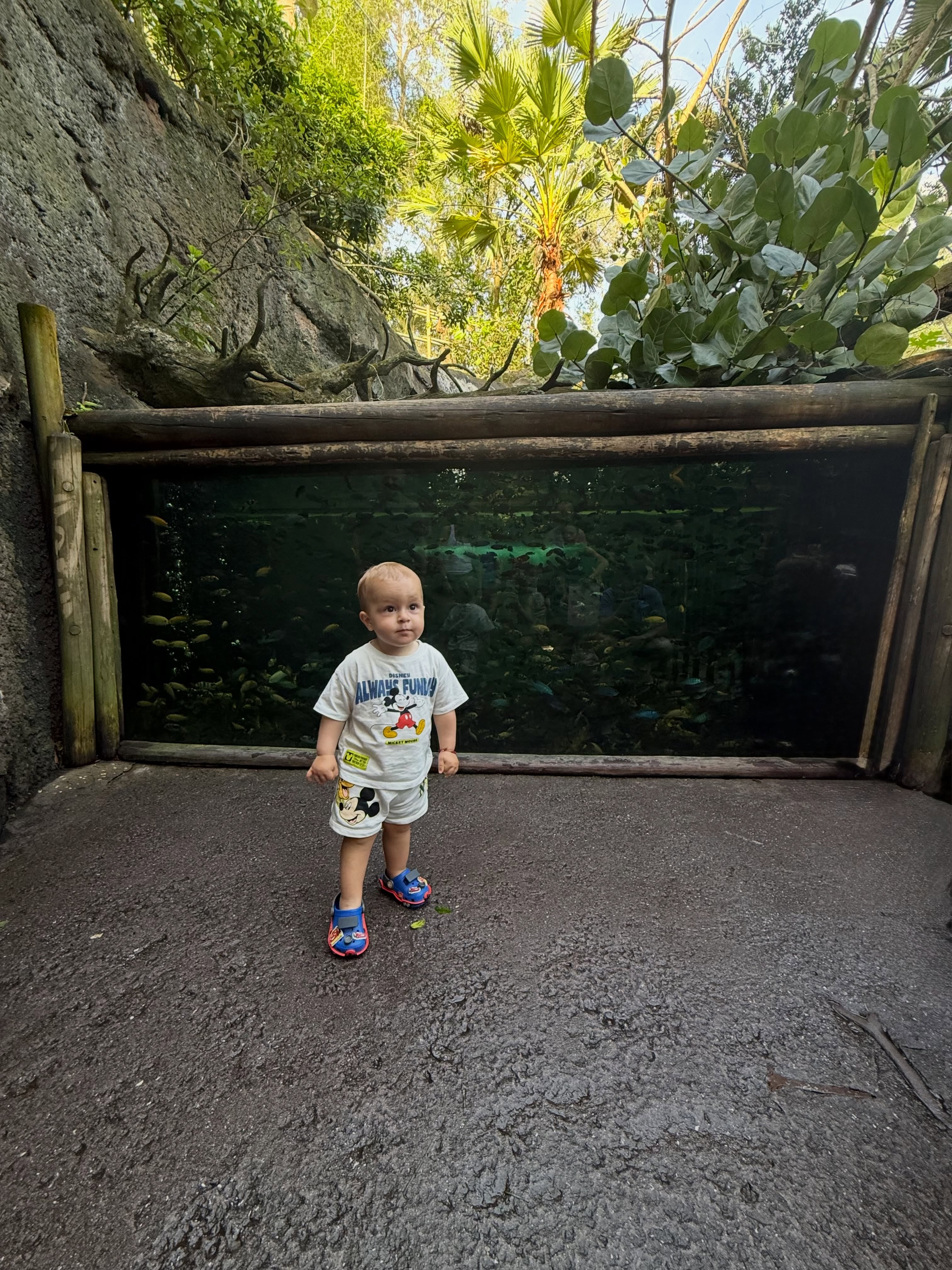 Marco, el hijo de Sol Pérez y Guido Mazzoni, posa frente a un gran acuario durante un paseo familiar por Disney
