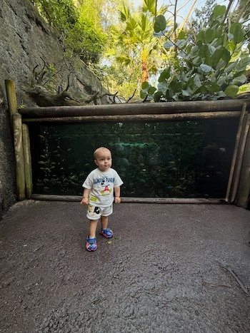 Un niño pequeño con ropa blanca decorada con un personaje animado permanece de pie frente a un acuario rodeado de rocas y plantas