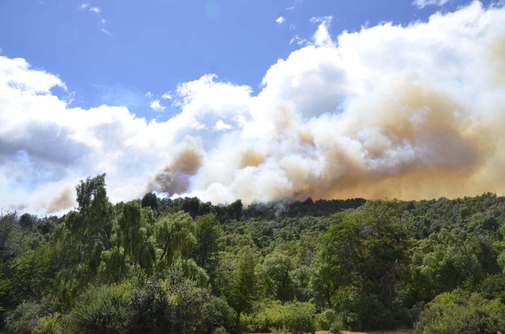 Crédito: PARQUE NACIONAL LOS ALERCES Y SERVICIO PROVINCIAL DE MANEJO de Chubut