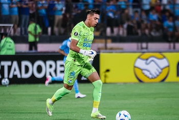 Diego Enríquez se ha consolidado