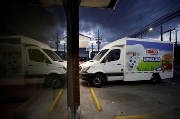 Bimbo tiene una vacante de