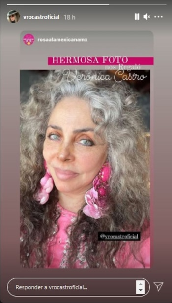(Foto: rosaalamexicana / Instagram)