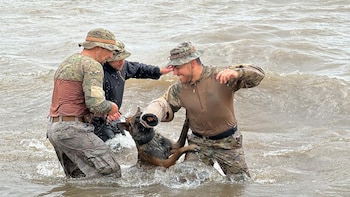 Hace cuatro años la Policía
