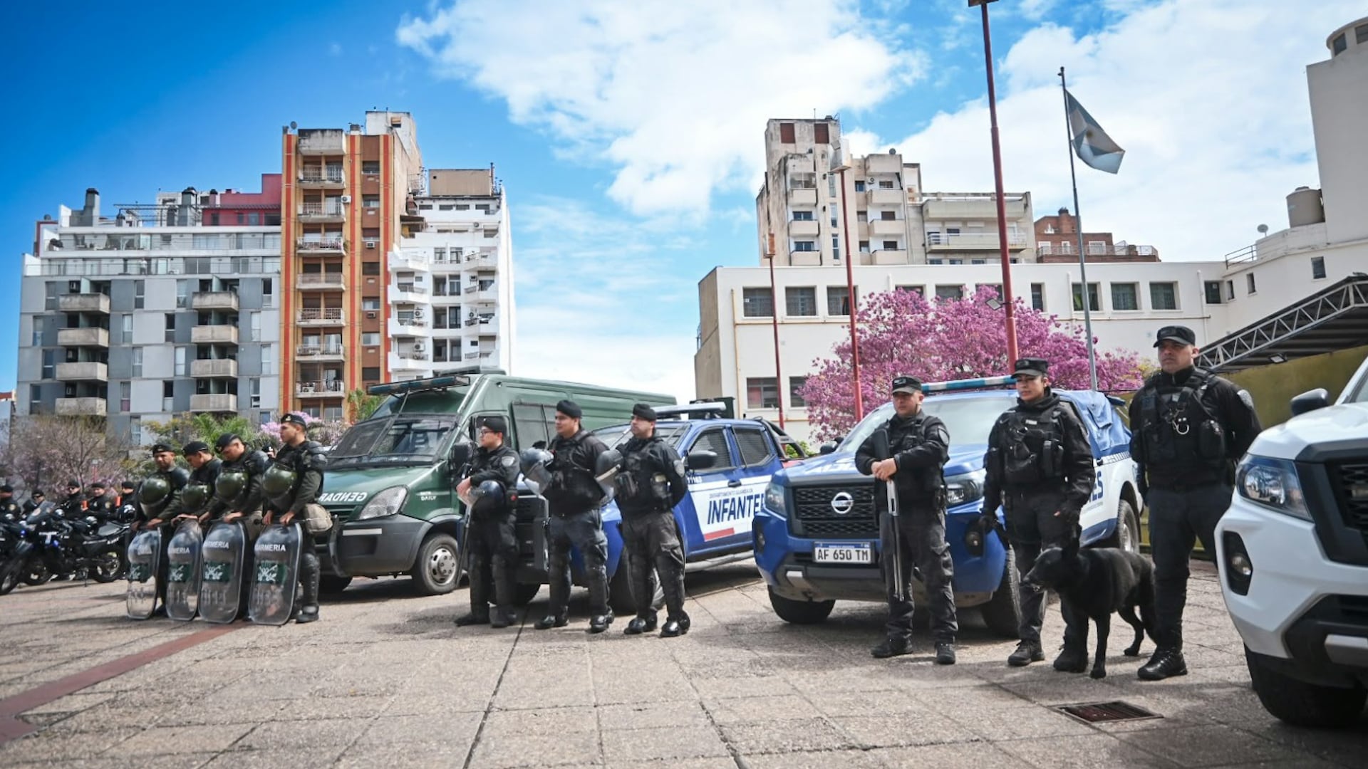 Las fuerzas de seguridad que participaron del megaoperativo