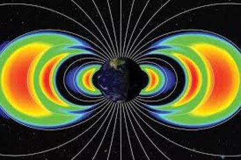 Los Cinturones de Van Halen,