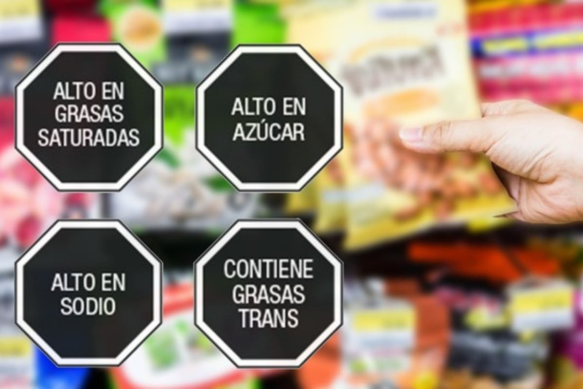 La normativa argentina, basada en el perfil de nutrientes de la OPS, resulta más restrictiva que las regulaciones de otros países del Mercosur (Andina)