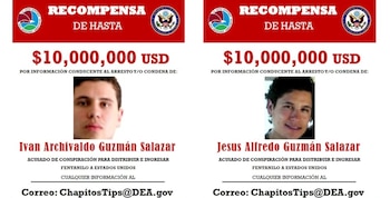 'Los Chapitos', hijos de Joaquín