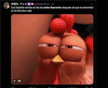 Javier Ibarreche memes