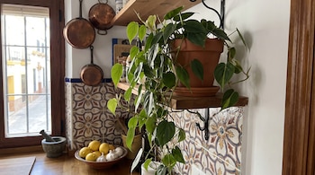 Planta verde en maceta sobre un estante de madera, con sartenes de cobre colgadas, azulejos decorados y un cuenco con limones.