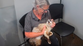 Sam regresó a su hogar