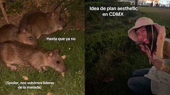 Las jóvenes corrieron el riesgo