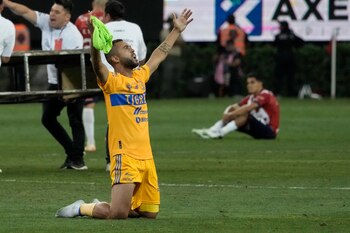 Nicolás Ibañez celebra la consagración