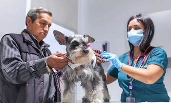 Efemérides – Efemérides en Perú – Qué se celebra – Perú – noticias – 8 julio