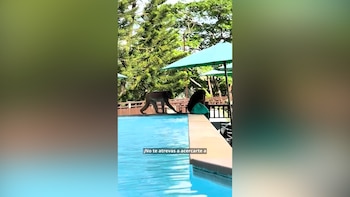 Miles de usuarios comentaron el