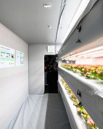 Las granjas inflables disminuyen el