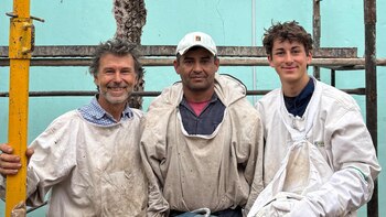 La historia de la colmena