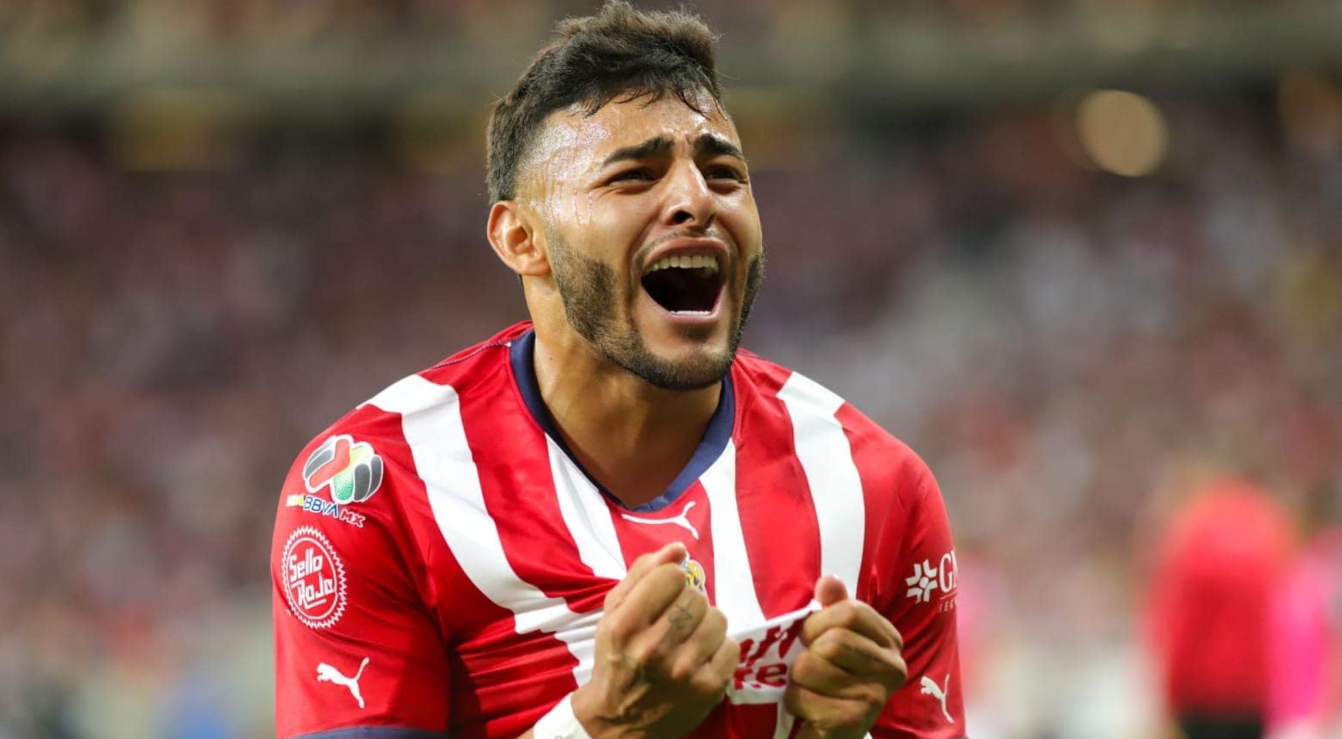 Una lesión de rodilla frustró el viaje a España (Alexis Vega)