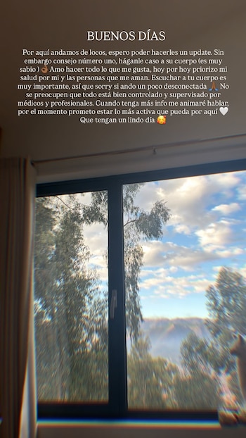 Una captura de pantalla de un mensaje de texto sobre un fondo oscuro, superpuesto a una vista de ventana con árboles y un cielo nublado