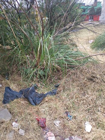 El bebé fue encontrado entre