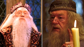 Albus Dumbledore interpretado por Richard