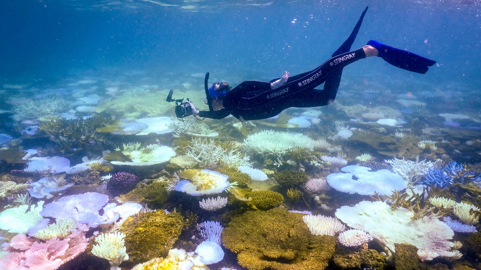 La Gran Barrera de Coral se sitúa a unos kilómetros de las costas del estado de Queensland. (Photo by David Gray / AFP)