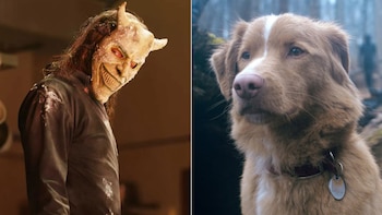 Indy, el perro de “Good