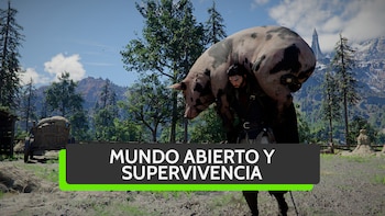 Imagem O57HN6227NAPXHQSBUBA5U75OU