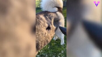 15-09-2021 Esta mujer ha dado