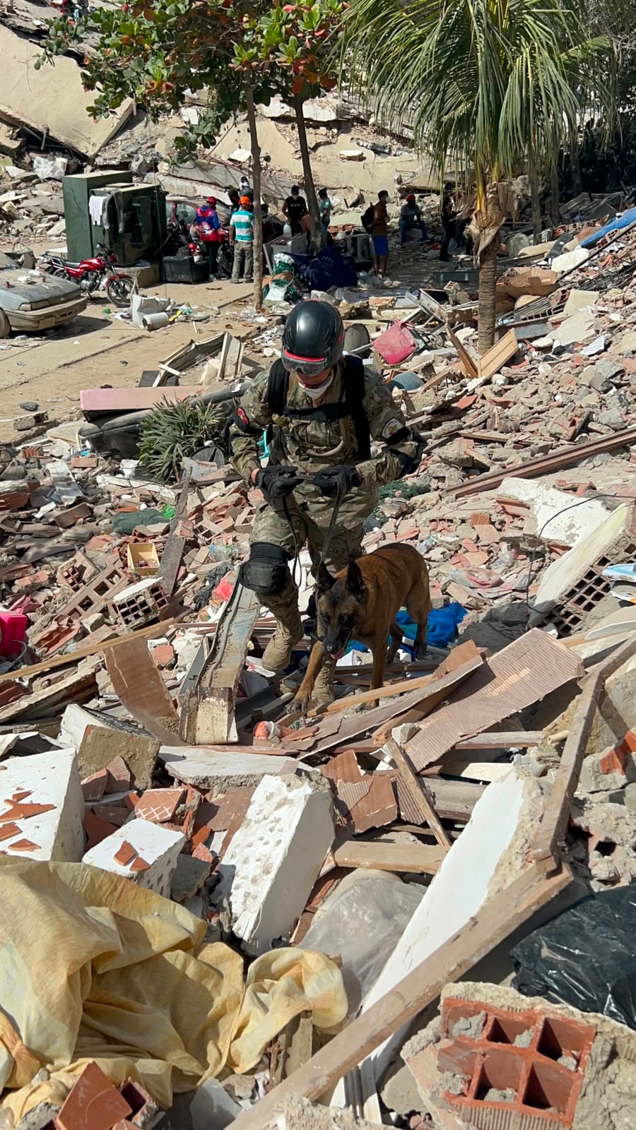 Así trabaja el equipo humanitario enviado a Venezuela