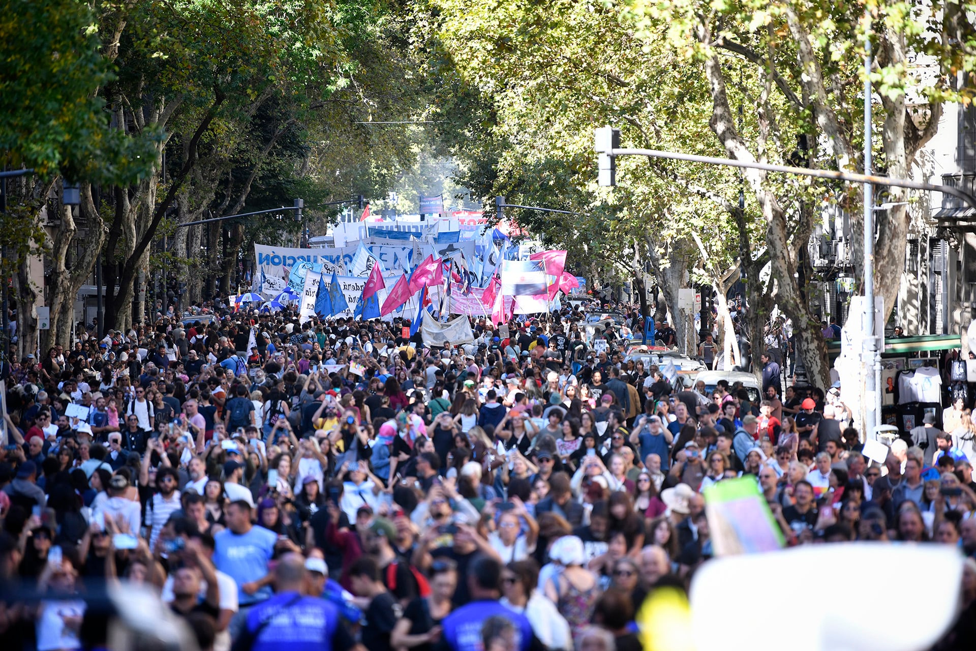 En distintas exrpresiones, el peronismo movilizará contra la extranjerización de tierras