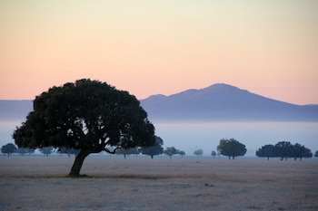 La Raña de Santiago, en