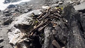 Algunos cráneos tenían fracturas similares