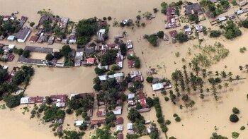 Sigue perdida menor de 14