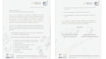 Propuesta de Mario Delgado para desaparecer la USICAMM.