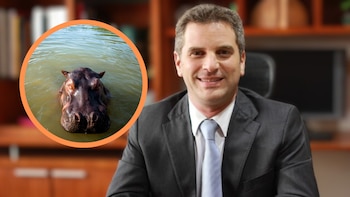 Exministro de Ambiente de Duque, poyó decisión del Gobierno Petro sobr los hipopótamos de Pablo Escobar: “El afecto no puede cegarnos del daño”