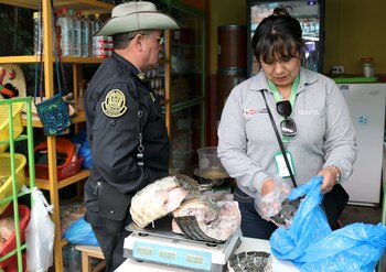 Serfor y Policía Nacional intervienen